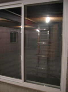 IMG_2526.JPG